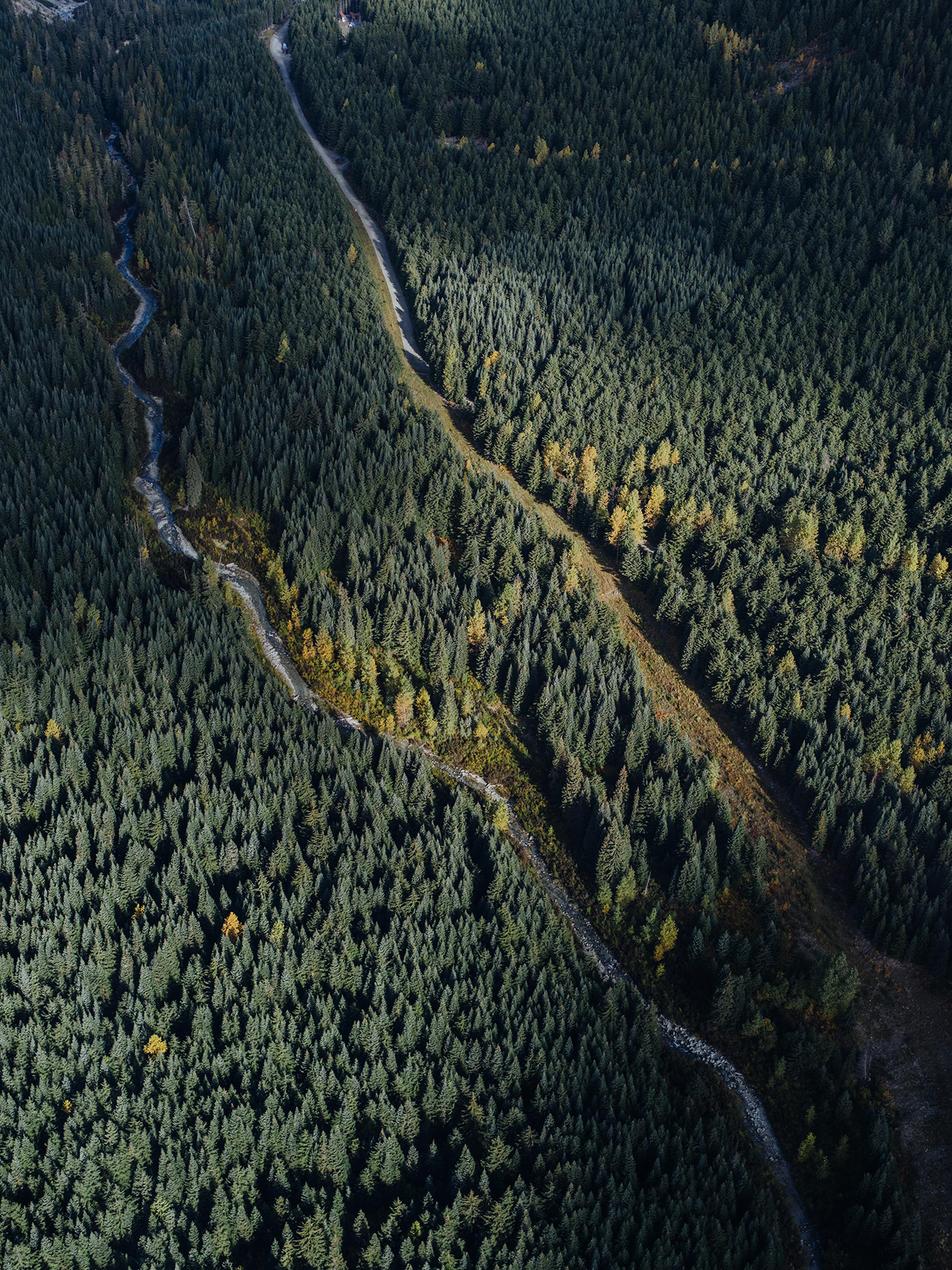 Overview